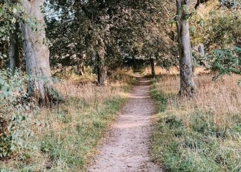 New Projections Show the World is Off Track in Meeting its Education Commitments by 2030