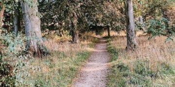 New Projections Show the World is Off Track in Meeting its Education Commitments by 2030