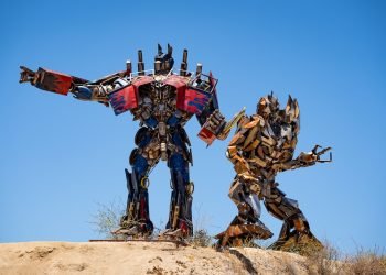 School Metamorphosis