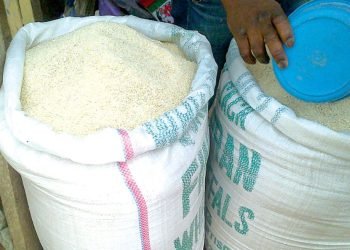 Garri and Sand: The Nigerian curriculum