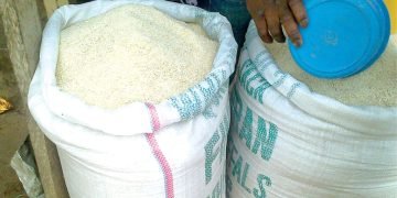 Garri and Sand: The Nigerian curriculum