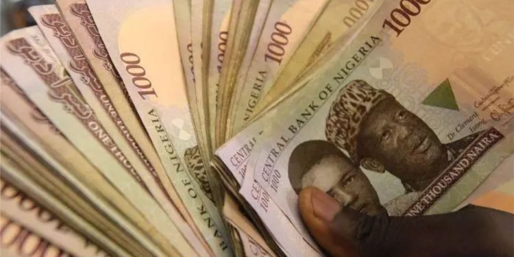 Group to award N100m start-up grant to student entrepreneurs