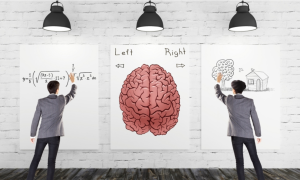 Neuromyths Demystified: Bridging the Gap Between Brain Science and Teacher Beliefs