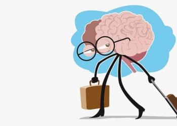 Combating The Surge Of Brain Drain In The  Nigerian University System