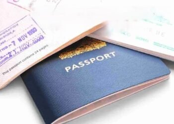 8 Must-Have Documents for Scholarship Applications in 2024