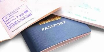 8 Must-Have Documents for Scholarship Applications in 2024