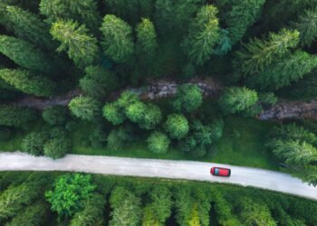 The Revitalization of the Nigerian Education System: A Pathway to Sustainable Development