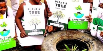 Environmental Education In Nigeria: Addressing Disparities in Low-Income Schools