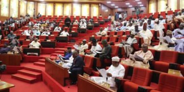 NUC, Senate canvasses creation of more universities in Nigeria