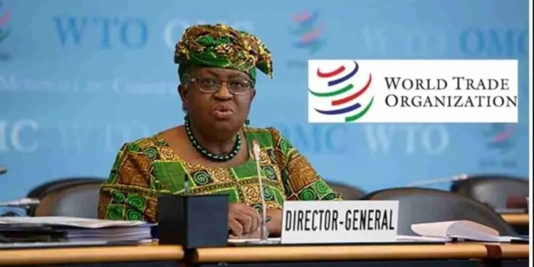 2025 World Bank Government Analytics Fellowship Program