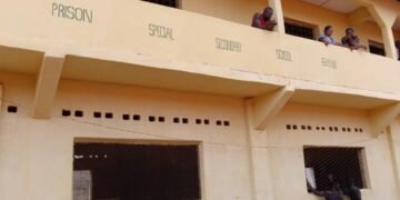 Inmates transform Abakaliki correctional center with stunning murals after paint-making training