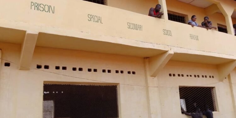 Inmates transform Abakaliki correctional center with stunning murals after paint-making training