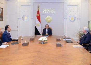 Egypt: President El-Sisi Emphasizes Educational Innovation in High-Level Meet