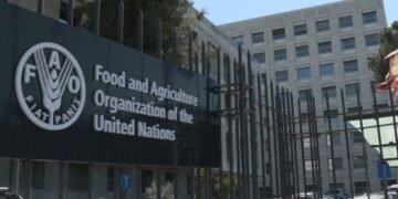 Apply: 2025 FAO Internship Program (Food and Agriculture Organization)
