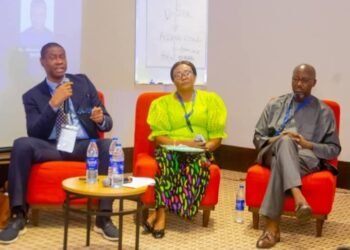 Sport Africa Investment Summit: Experts Discuss Community Development Through Sports