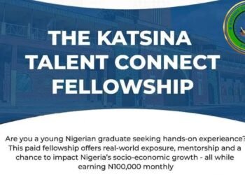 The Katsina Government Talent Connect Fellowship
