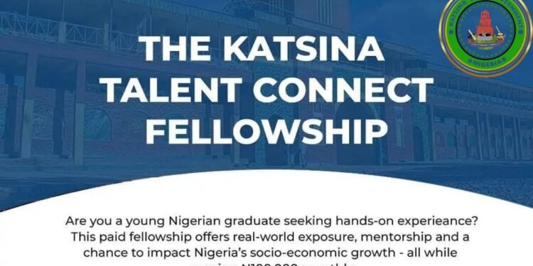The Katsina Government Talent Connect Fellowship
