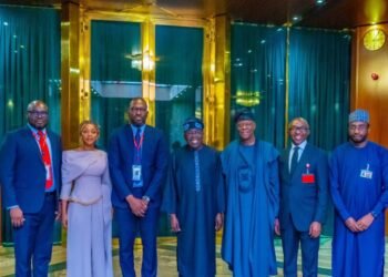 Flutterwave seeks President Tinubu’s support for listing on Nigeria’s NGX