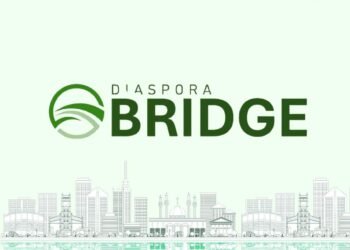 Minister Alausa Announces BRIDGE: A New Platform for Diaspora Engagement in Education, Research, Healthcare